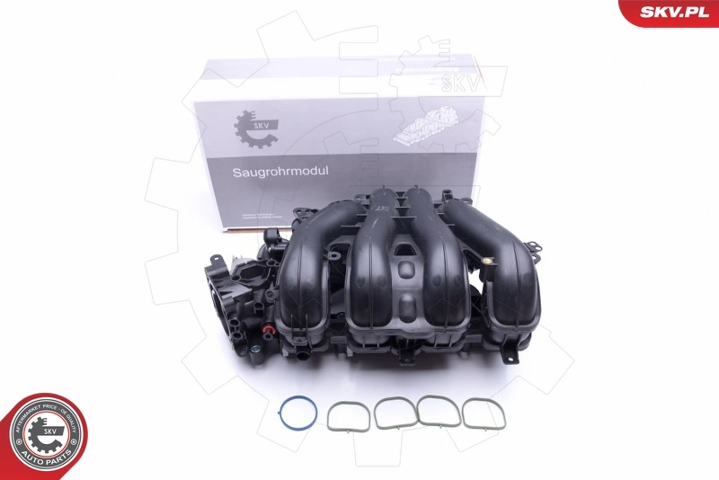 Intake Manifold Module